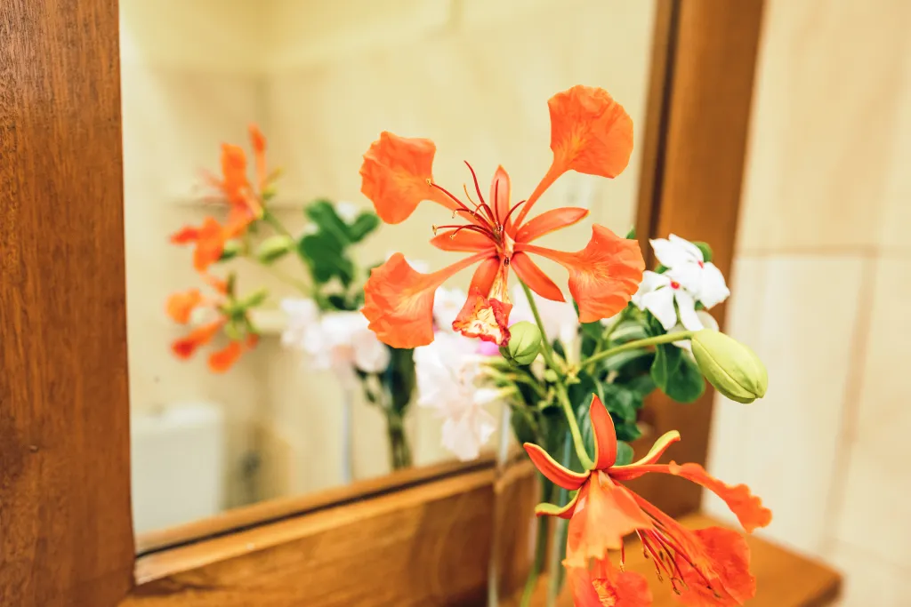 Casa Strela Guesthouse