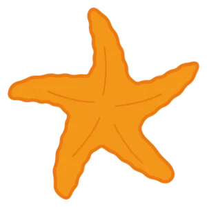 Gecko Compliance AG Logo