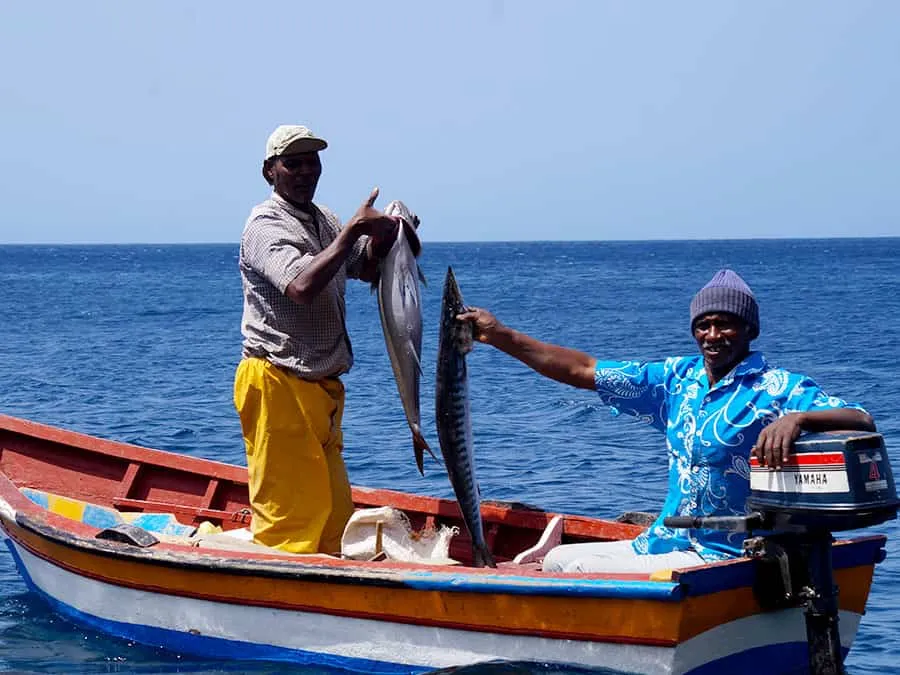 Fish and Grill