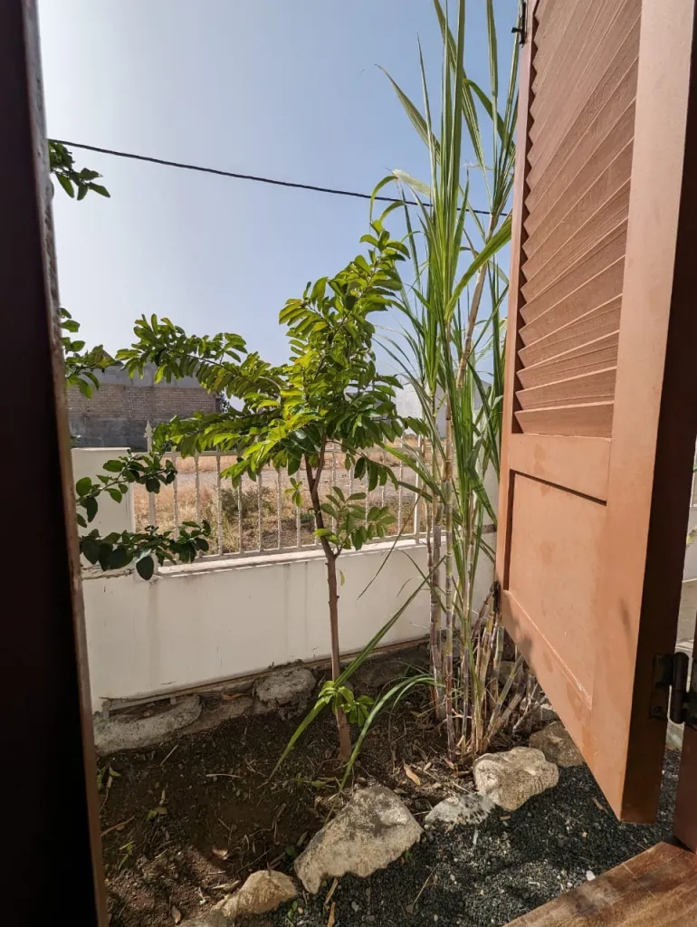 Funaná Apartment