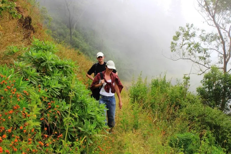 Hike Natural Park of Serra Malagueta Trail + Lunch