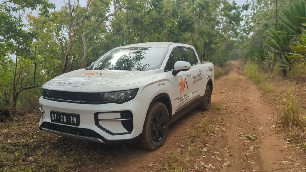 Strela Travel electric pick-up