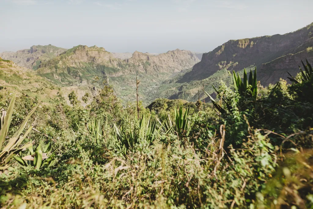 Hike Natural Park of Serra Malagueta Trail + Lunch