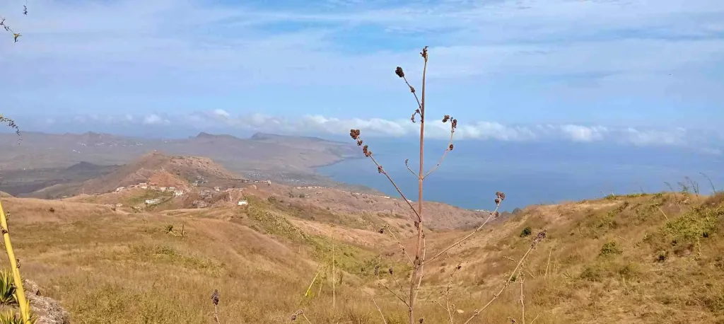 Hike Mato Brasil Trail + Lunch