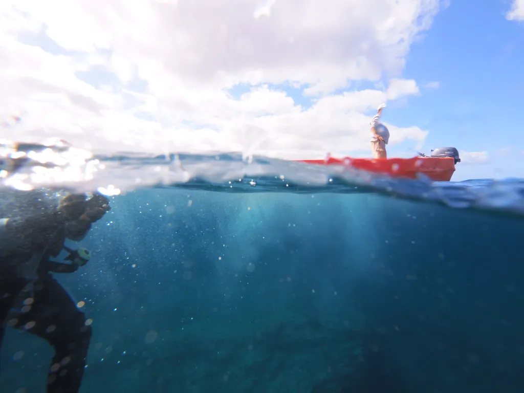Snorkeling with Boat in Tarrafal