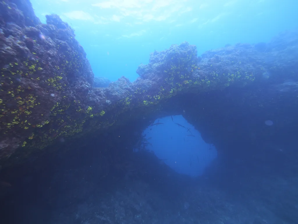 Snorkeling with Boat in Tarrafal