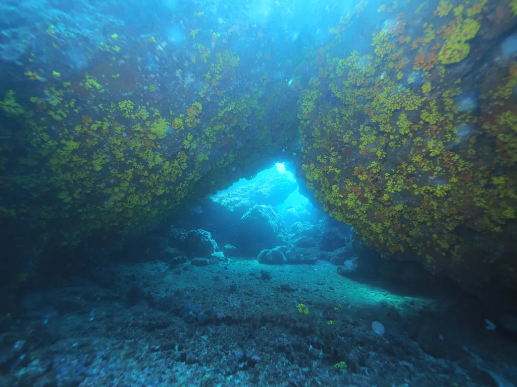 Snorkeling with Boat in Tarrafal
