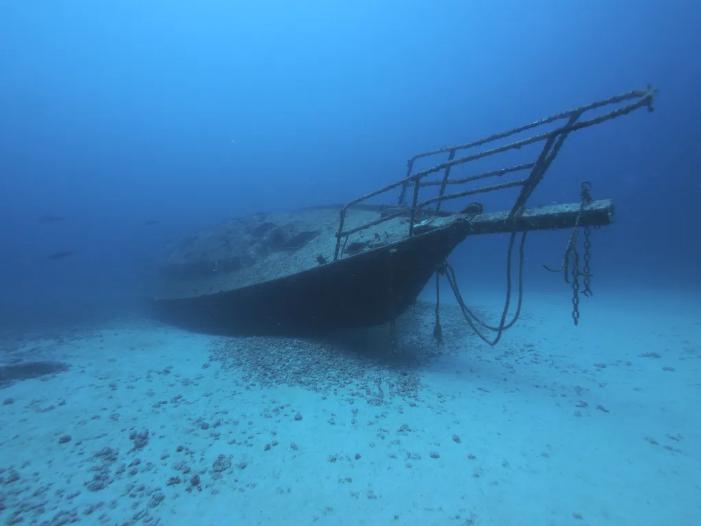 Snorkeling with Boat in Tarrafal