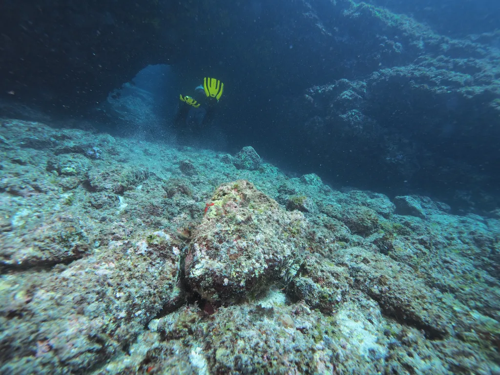 Snorkeling with Boat in Tarrafal