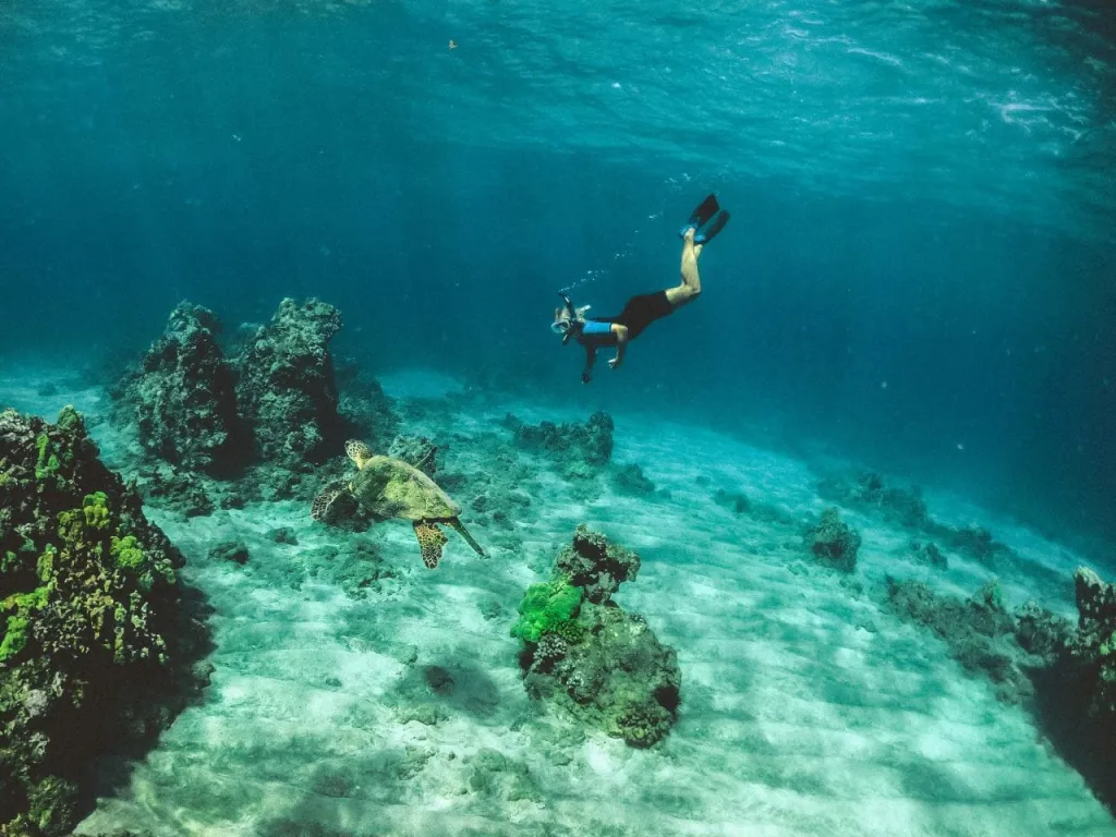 Snorkeling with Boat in Tarrafal
