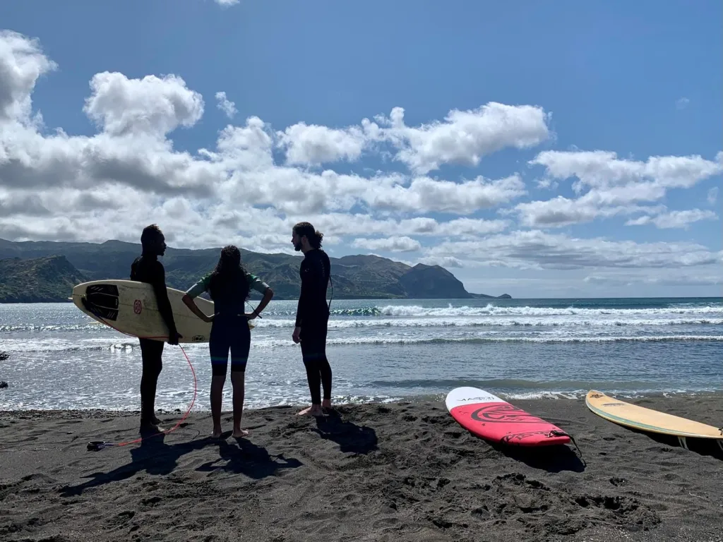 Learn to Surf or Bodyboard