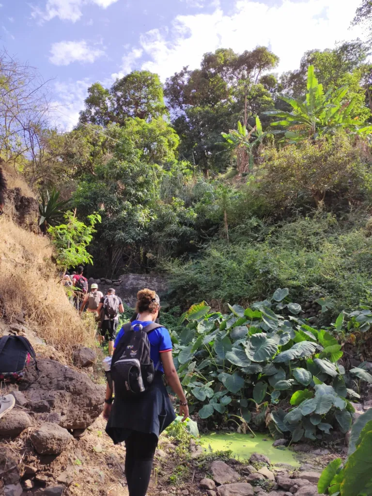 Hike Lagoa Trail & Traditional Lunch with Farmer Family