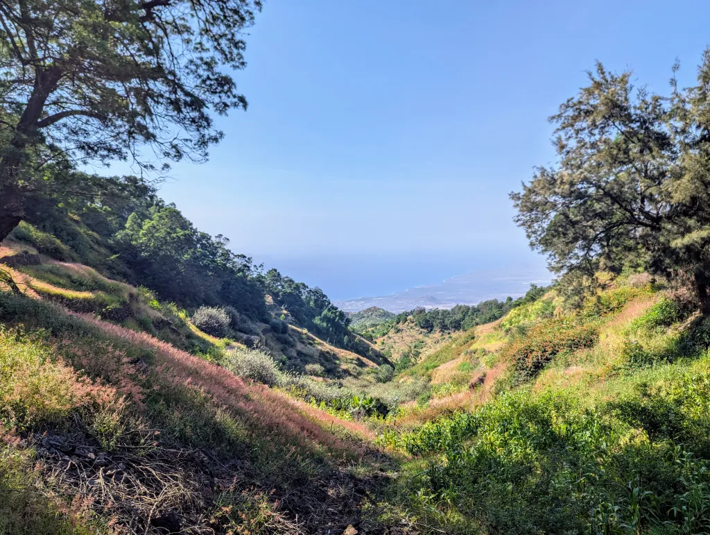 Pottery Workshop with Lunch & Optional Hike