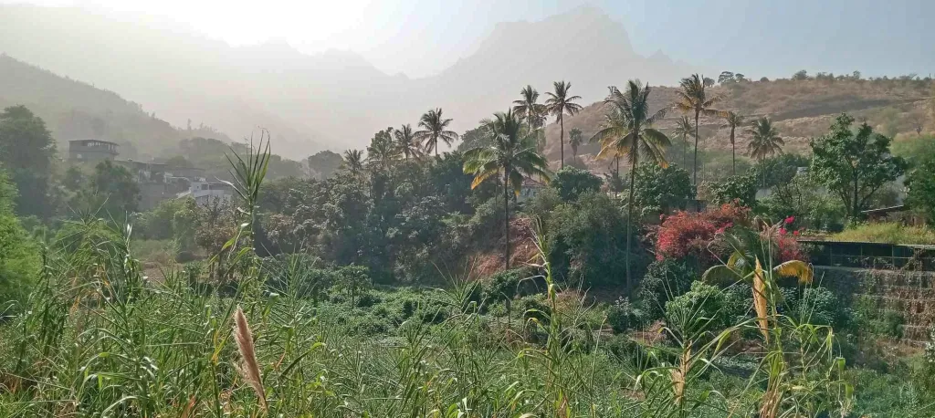 Hike Ribeira Principal Trail & Local Lunch