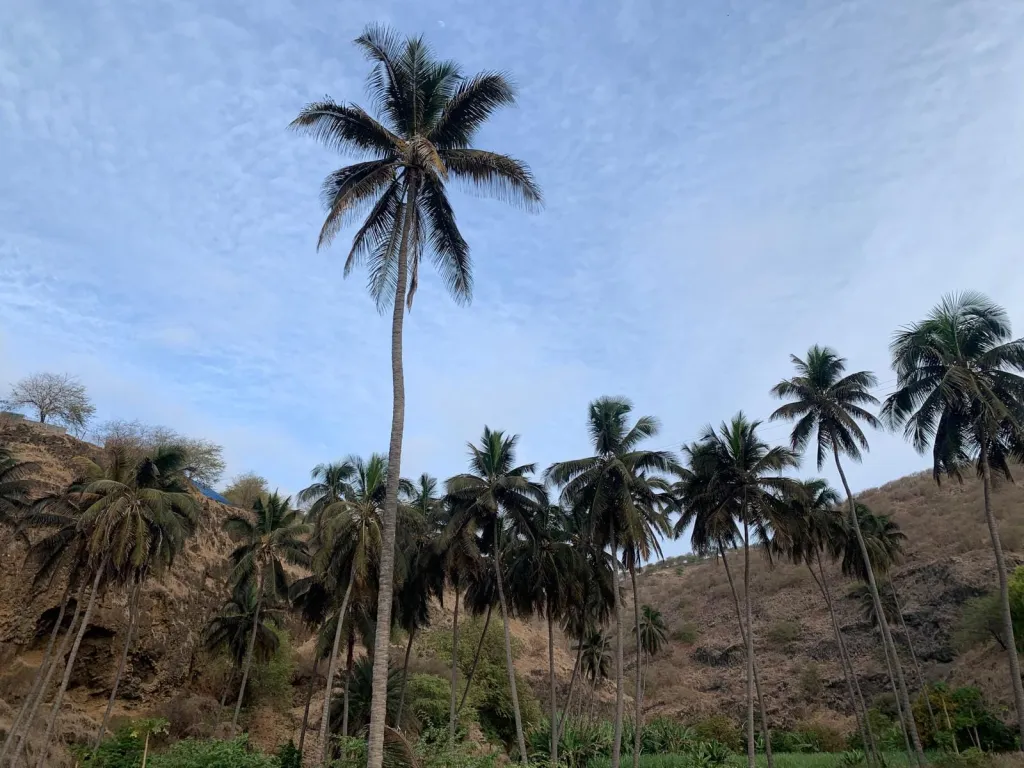 Santiago North Island Tour