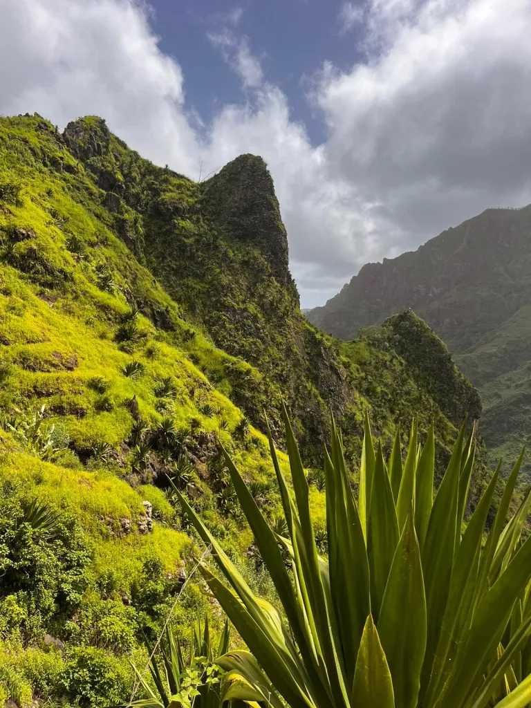 Hike Ribeira Principal Trail & Local Lunch