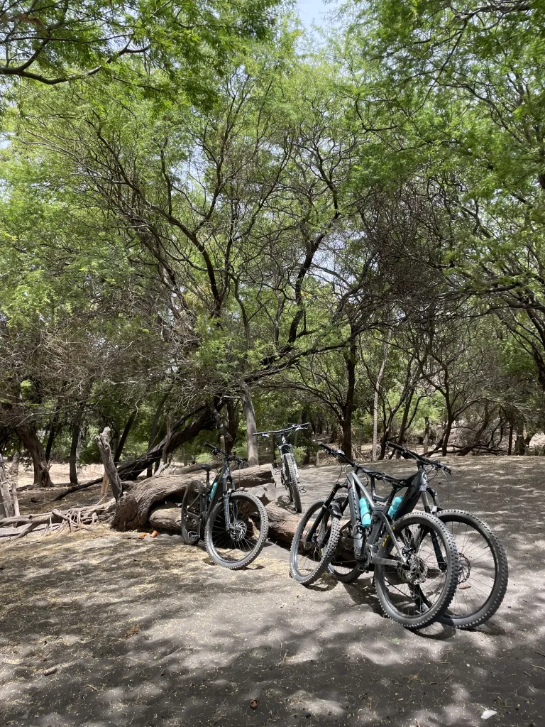 Bike Tour: Easy Ride to Silverbeach & the Cuba Basins