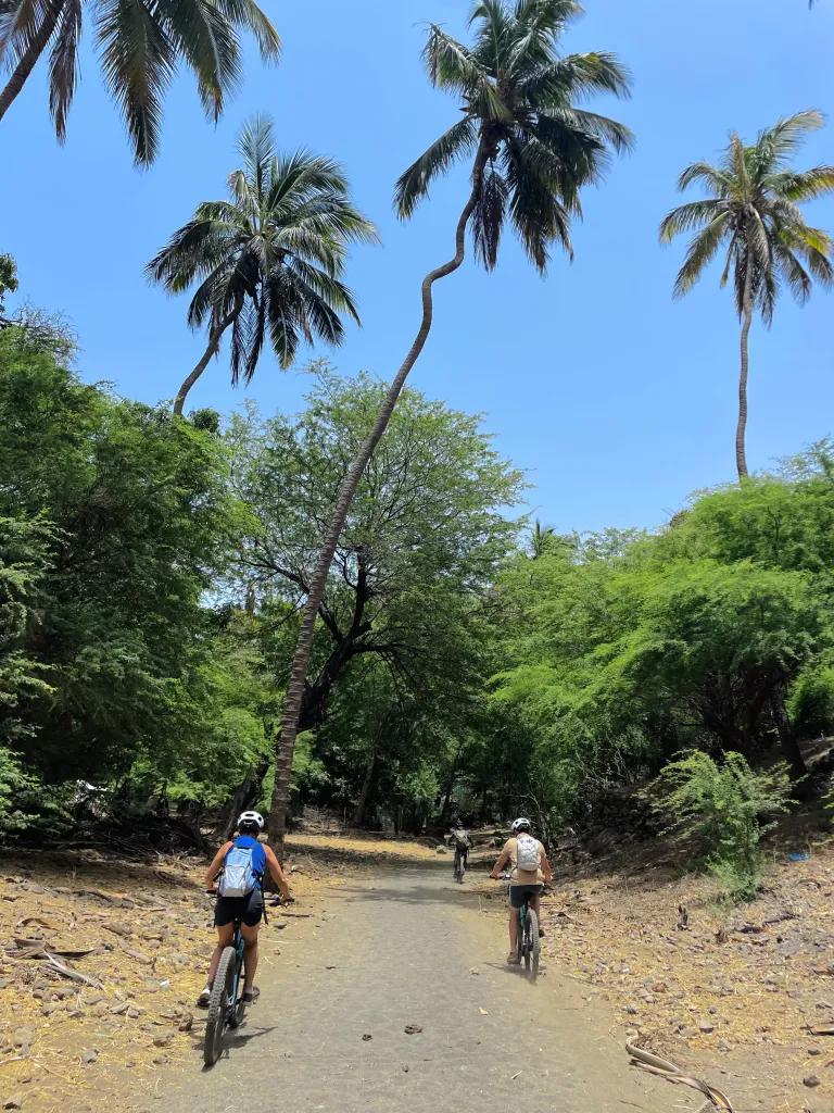 Bike Tour: Easy Ride to Silverbeach & the Cuba Basins