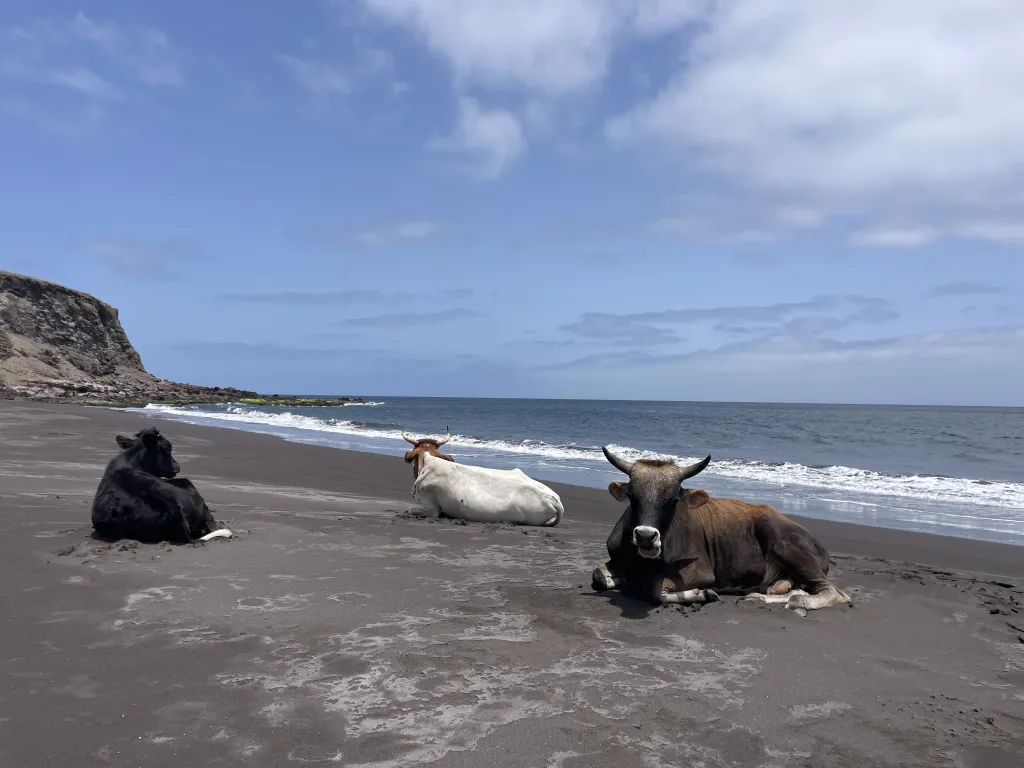 Bike Tour: Easy Ride to Silverbeach & the Cuba Basins