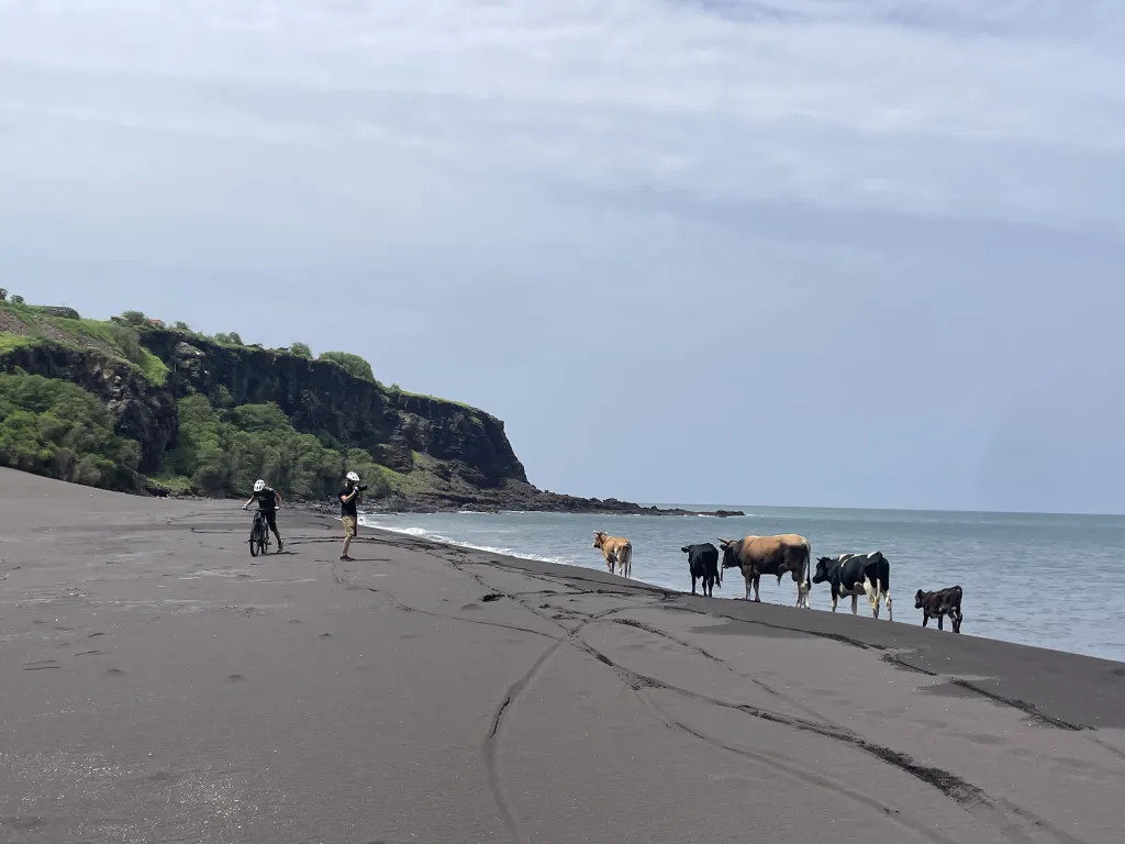 Bike Tour: Easy Ride to Silverbeach & the Cuba Basins
