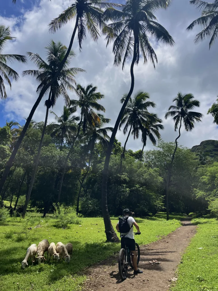 Bike Tour: Easy Ride to Silverbeach & the Cuba Basins