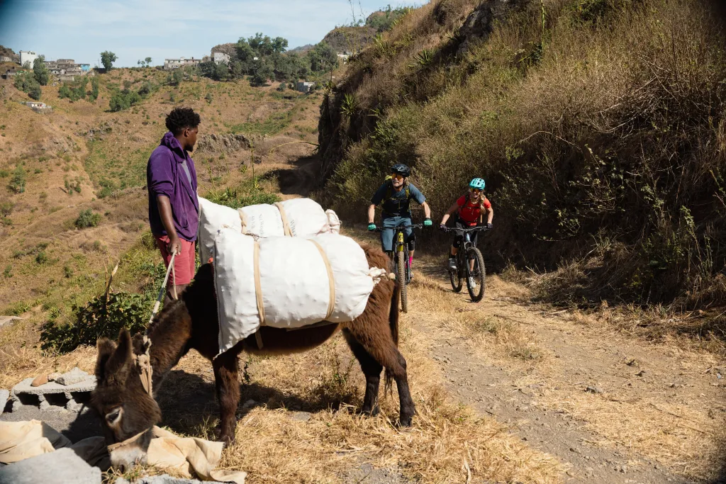 Bike Tour: Monte Ramo - High Mountain Trail Ride (Intermediate or Hard options)
