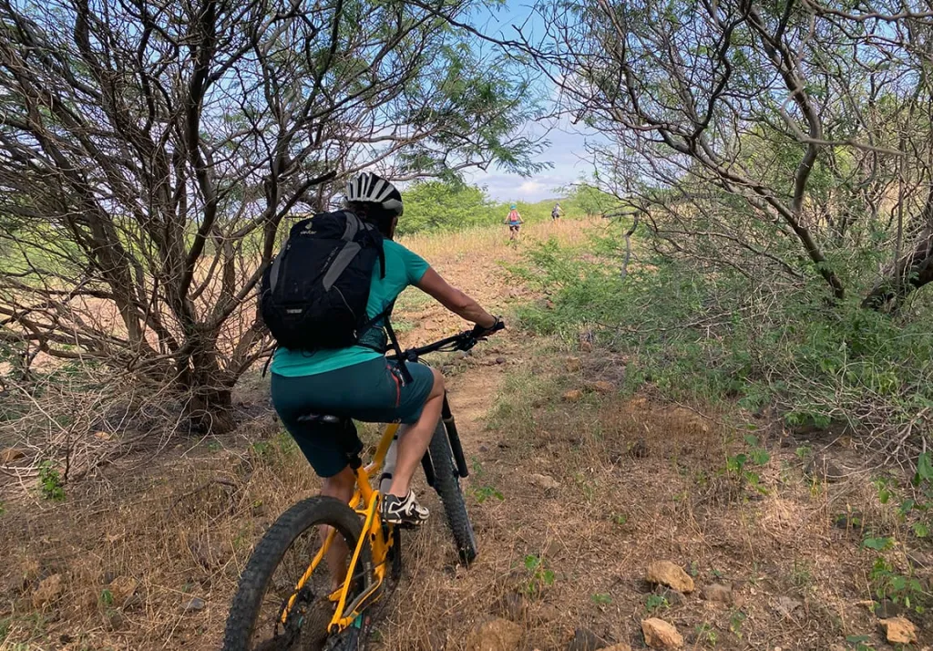Bike Tour: King Fisher Trail + Sea Views