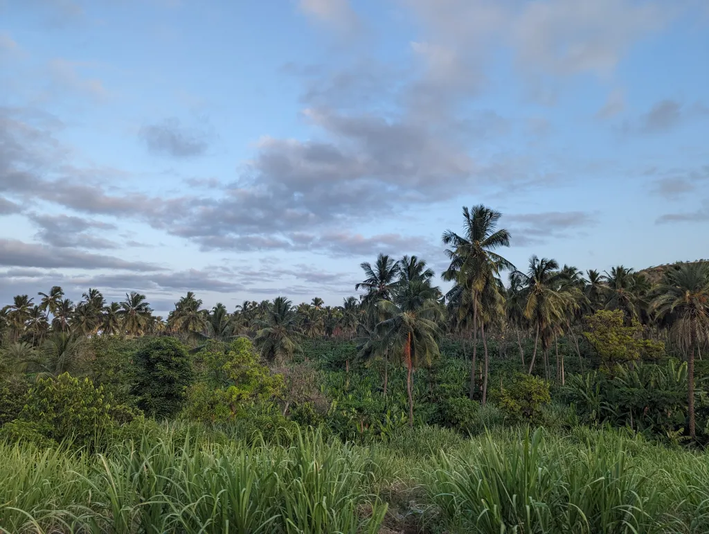 Cabo Verde Hiking Odyssey: Santiago, Santo Antão & São Vicente