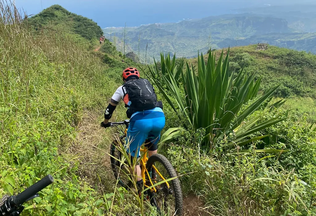Bike Tour: Rebel Trail - High Mountain Descent to the Rebelados Village